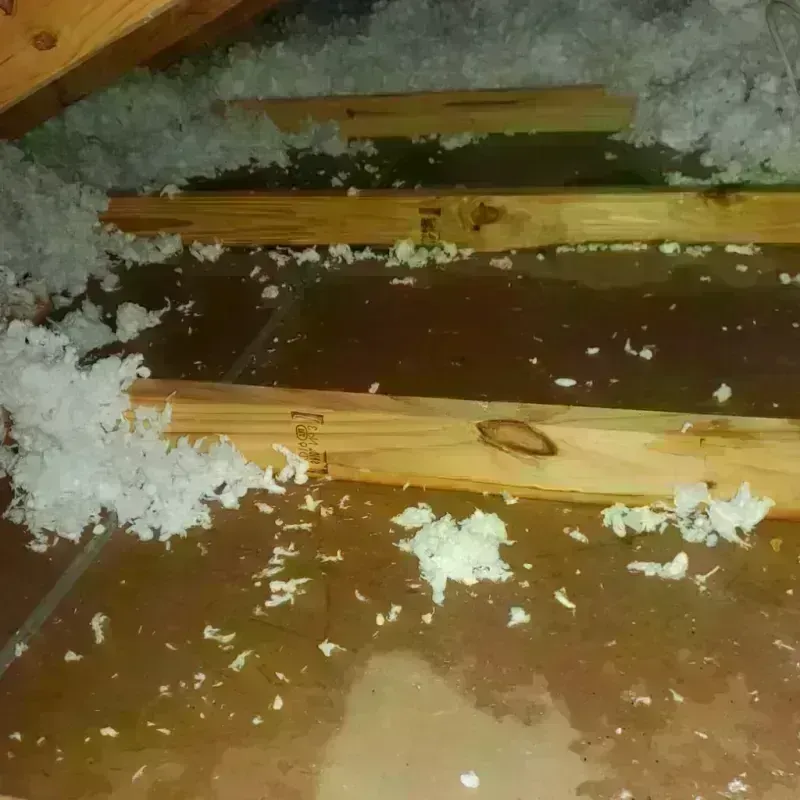 Attic Water Damage in Green Acres, CA